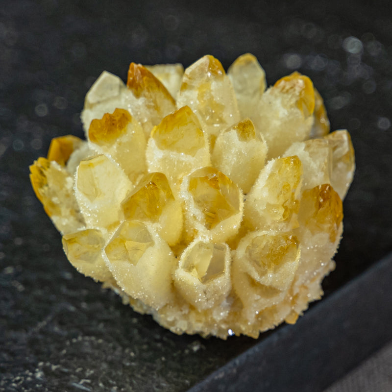 Natural Beauty - Sparkling Citrine Clusters