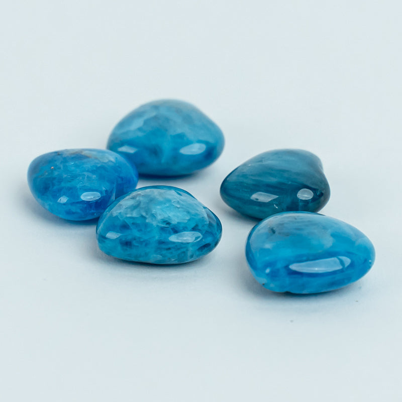 Apatite Heart Polishing Kit - The Radiant Light of Clarity and Expression